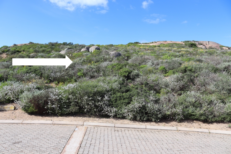 0 Bedroom Property for Sale in Steenbergs Cove Western Cape